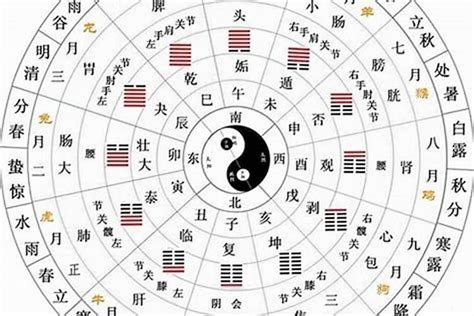 丙火喜忌|十天干與十二地支喜忌——丙火篇